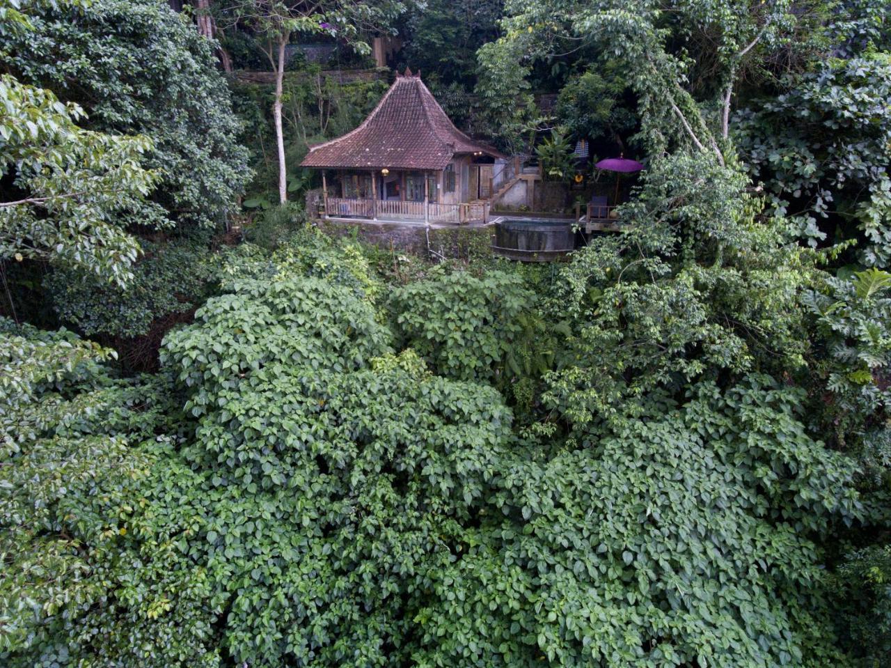 Villa Awang Awang Ubud  Ngoại thất bức ảnh