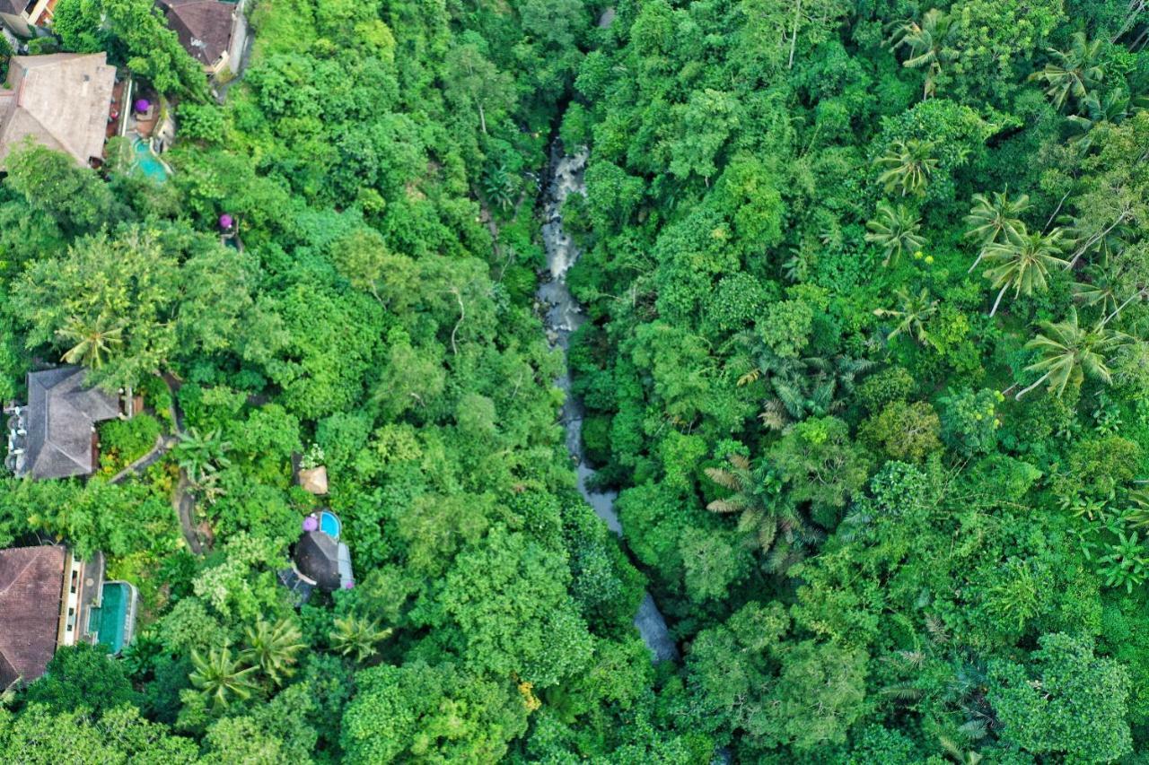 Villa Awang Awang Ubud  Ngoại thất bức ảnh